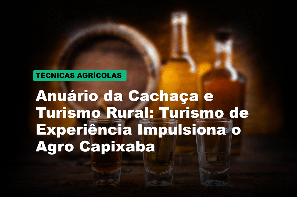 Anuário da Cachaça e Turismo Rural: Turismo de Experiência Impulsiona o Agro Capixaba