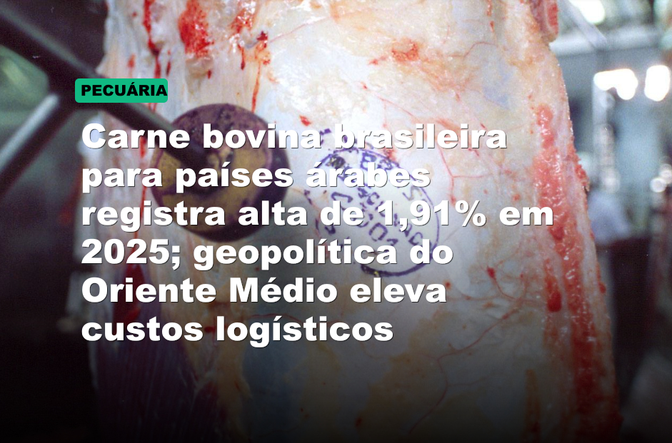 Carne bovina brasileira para países árabes registra alta de 1,91% em 2025; geopolítica do Oriente Médio eleva custos logísticos