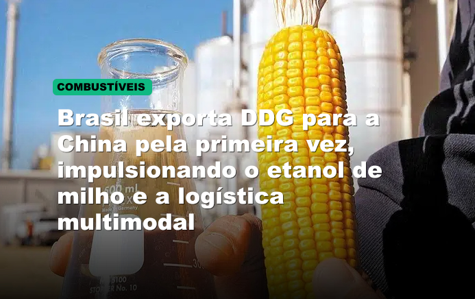 Brasil exporta DDG para a China pela primeira vez, impulsionando o etanol de milho e a logística multimodal