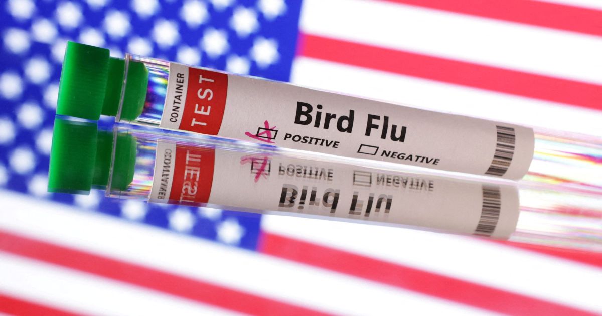 "Surto de Influenza Aviária H5N1 Atinge Iowa em 2026: Impactos na Indústria de Aves e Comércio Internacional"