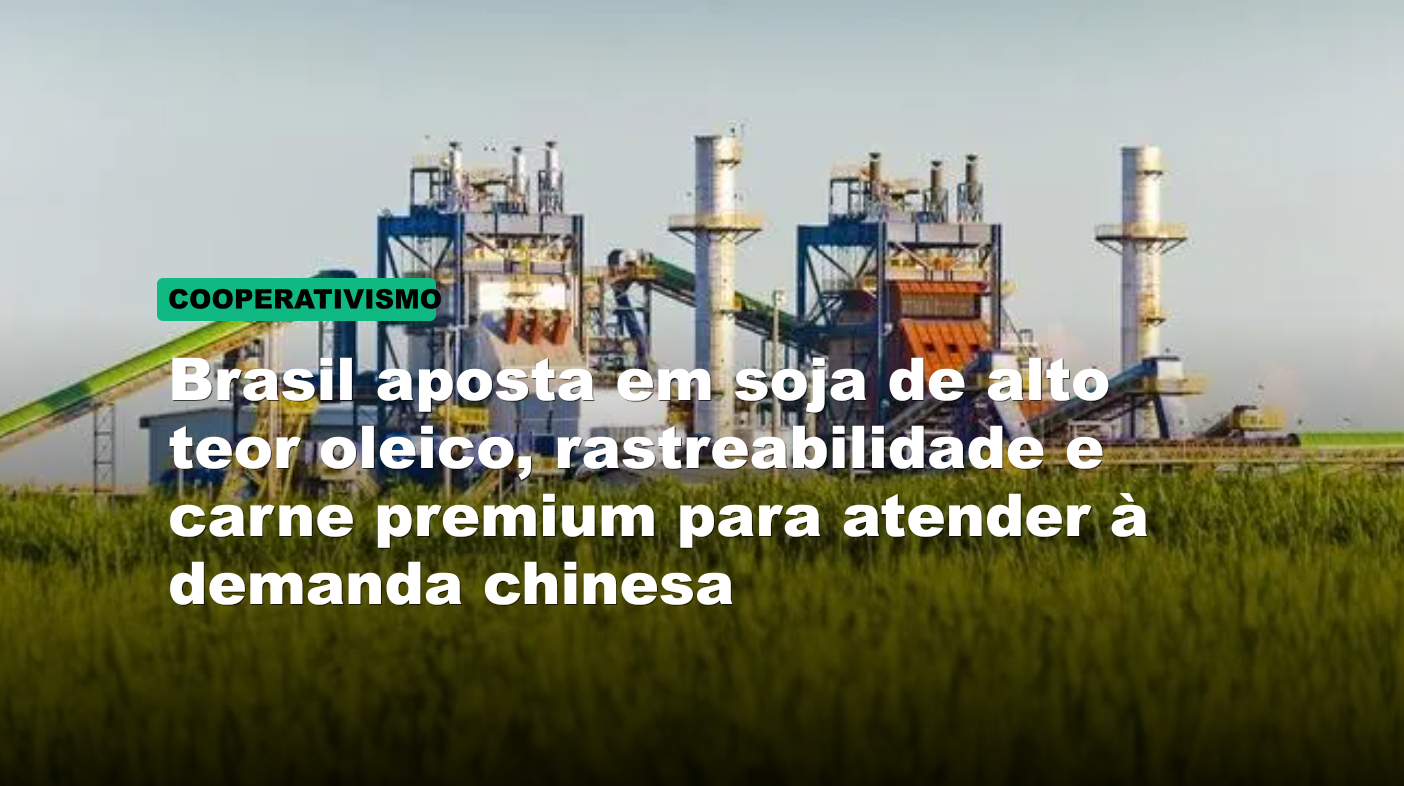 Brasil aposta em soja de alto teor oleico, rastreabilidade e carne premium para atender à demanda chinesa
