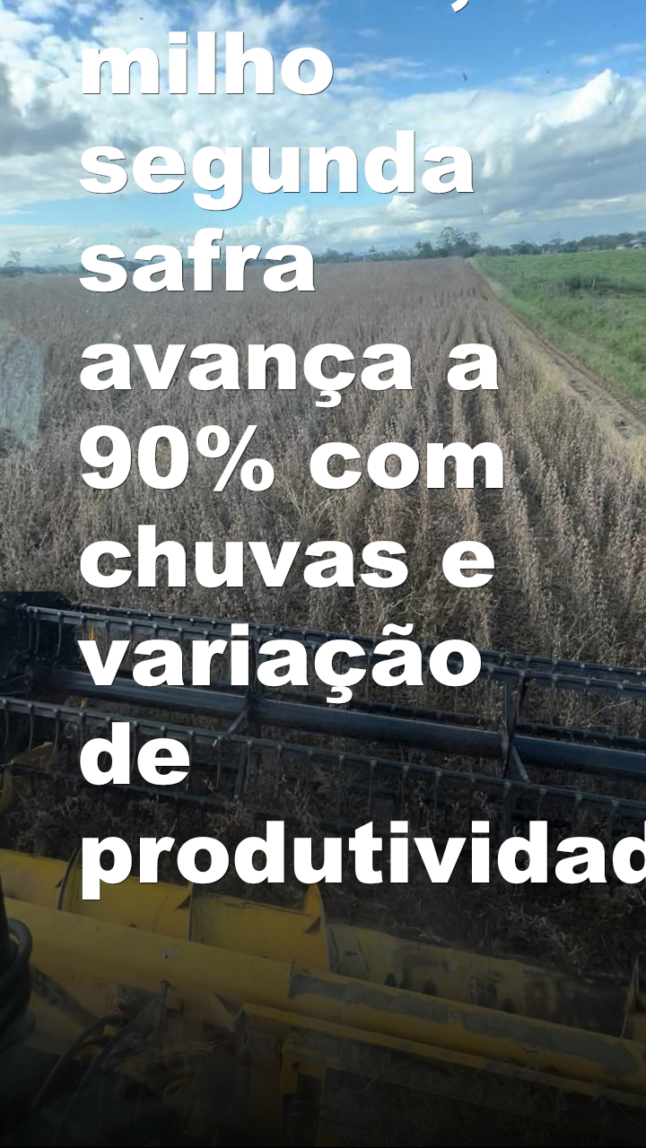 Paraná: soja atinge 82% da área plantada na safra 2025/26; milho segunda safra avança a 90% com chuvas e variação de produtividade