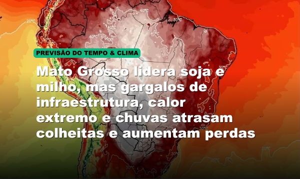 Mato Grosso lidera soja e milho, mas gargalos de infraestrutura, calor extremo e chuvas atrasam colheitas e aumentam perdas