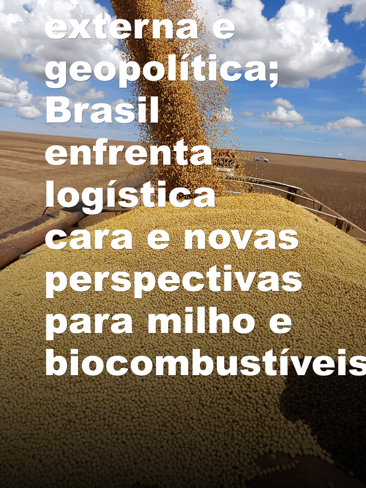 Soja em Chicago: óleo lidera ganhos com demanda externa e geopolítica; Brasil enfrenta logística cara e novas perspectivas para milho e biocombustíveis