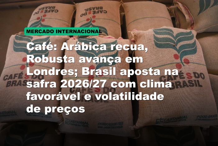 Café: Arábica recua, Robusta avança em Londres; Brasil aposta na safra 2026/27 com clima favorável e volatilidade de preços