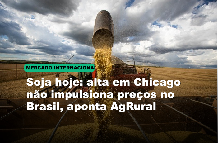 Soja hoje: alta em Chicago não impulsiona preços no Brasil, aponta AgRural