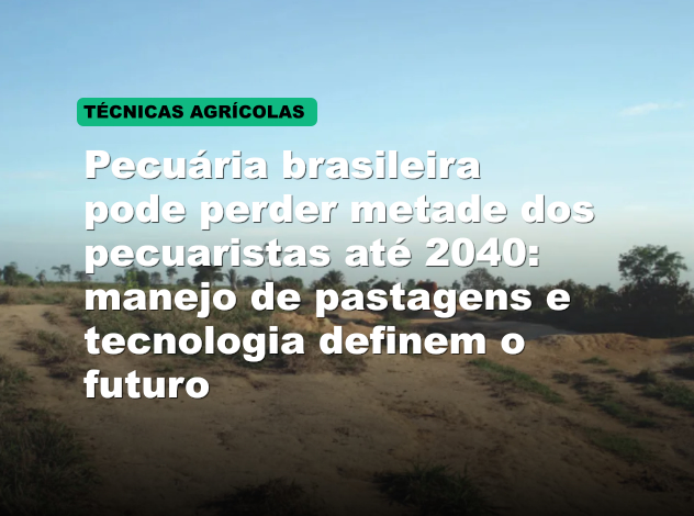 Pecuária brasileira pode perder metade dos pecuaristas até 2040: manejo de pastagens e tecnologia definem o futuro