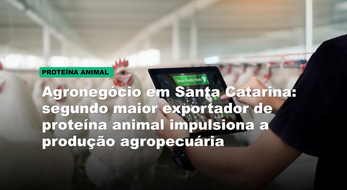 Agronegócio em Santa Catarina: segundo maior exportador de proteína animal impulsiona a produção agropecuária