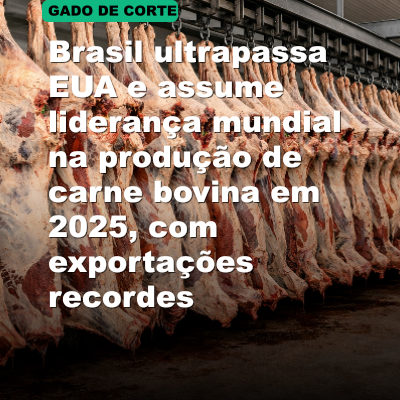 Brasil ultrapassa EUA e assume liderança mundial na produção de carne bovina em 2025, com exportações recordes