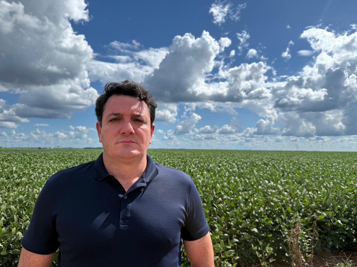 "Desafios da Soja: Custos Elevados e Queda no Arrendamento Impactam Produtores Rurais em 2025"