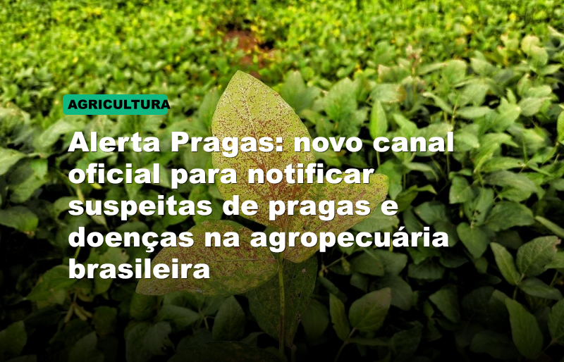 Alerta Pragas: novo canal oficial para notificar suspeitas de pragas e doenças na agropecuária brasileira
