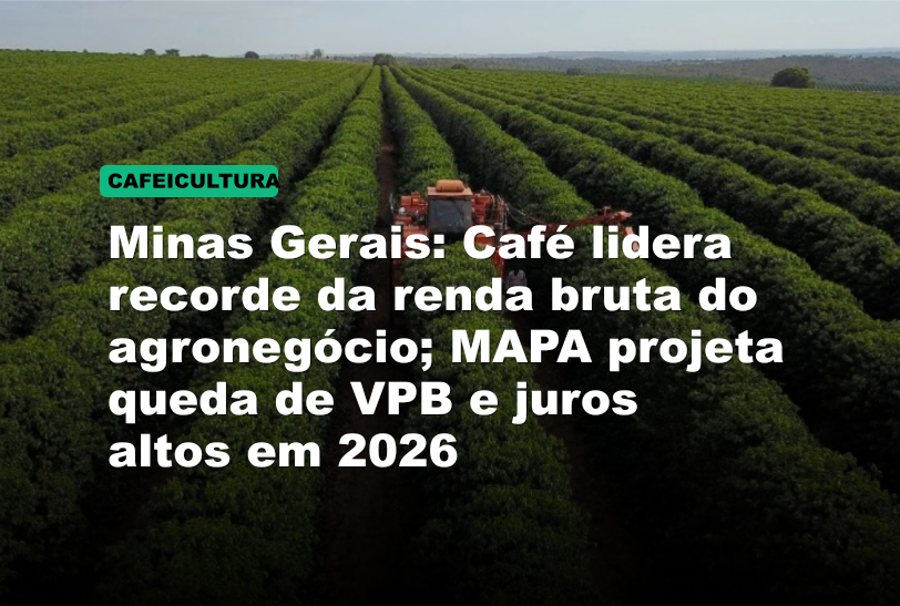 Minas Gerais: Café lidera recorde da renda bruta do agronegócio; MAPA projeta queda de VPB e juros altos em 2026