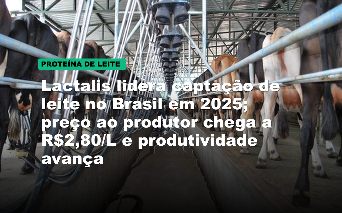 Lactalis lidera captação de leite no Brasil em 2025; preço ao produtor chega a R$2,80/L e produtividade avança
