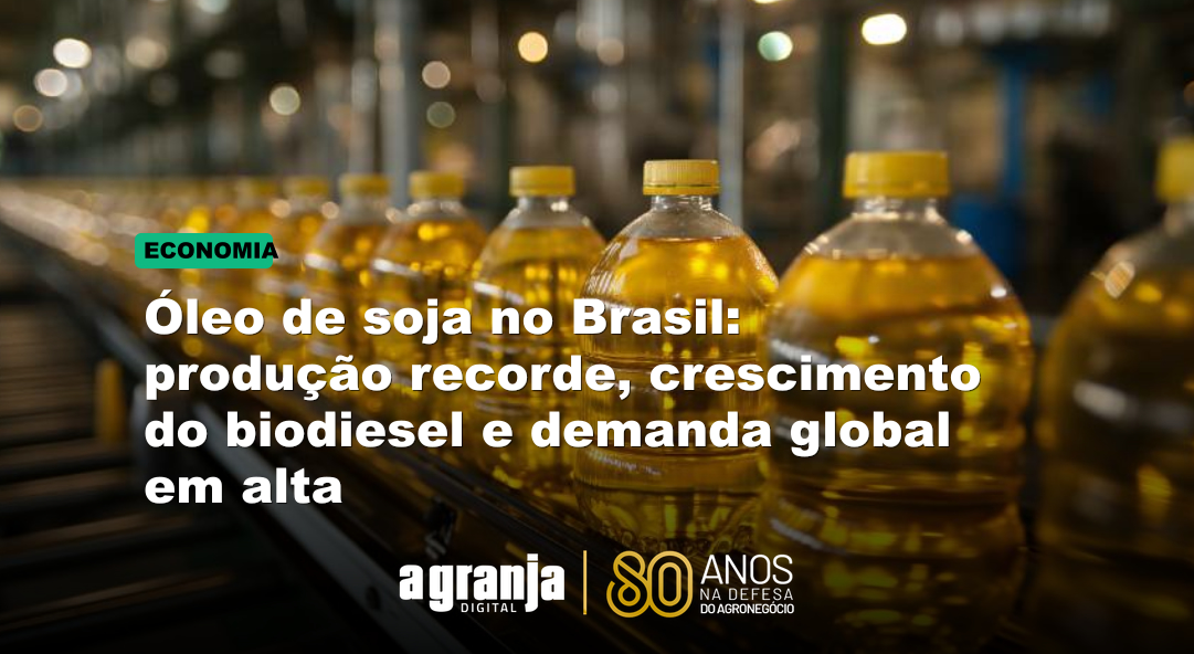 Óleo de soja no Brasil: produção recorde, crescimento do biodiesel e demanda global em alta