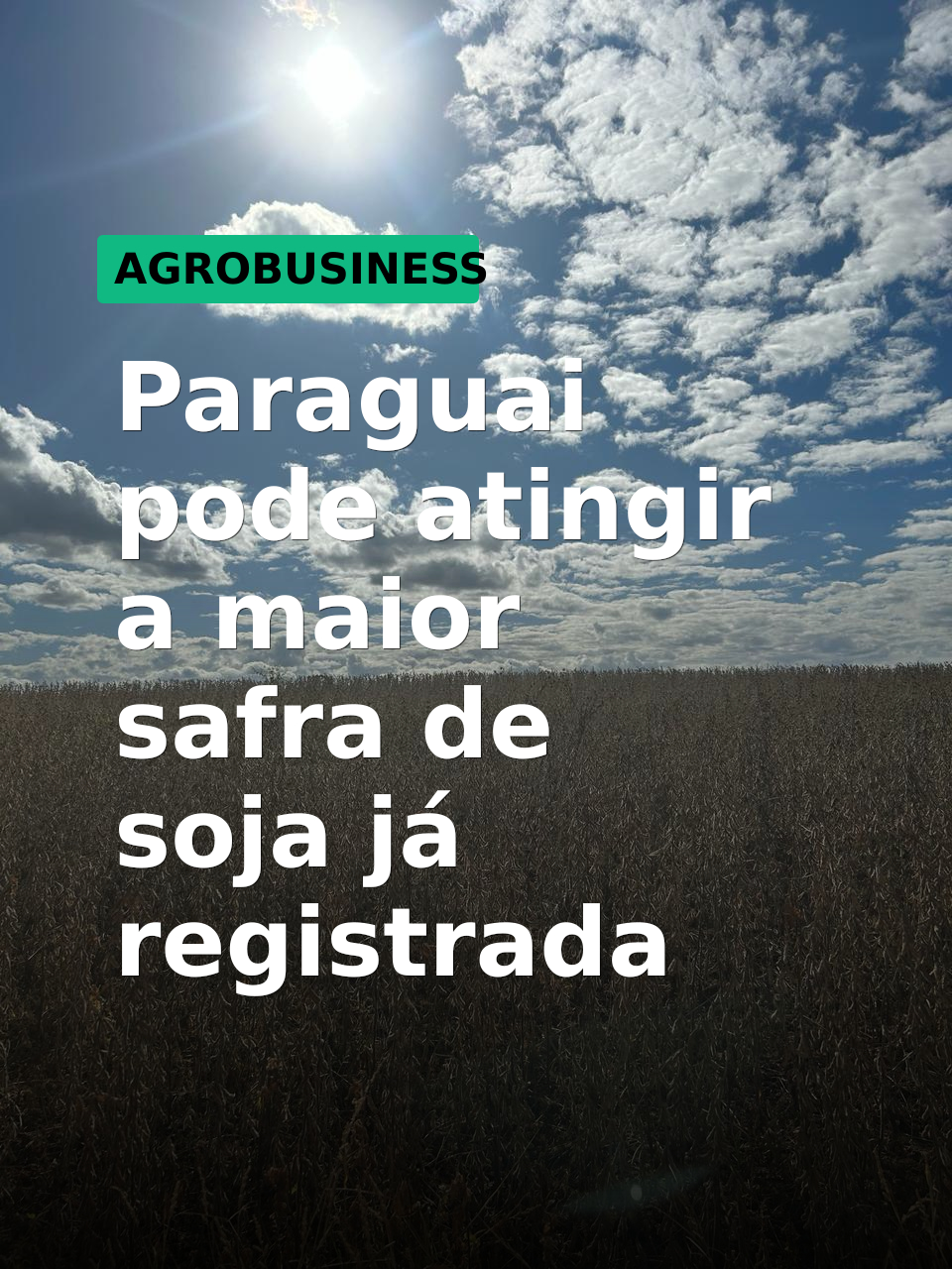 Paraguai pode atingir a maior safra de soja já registrada