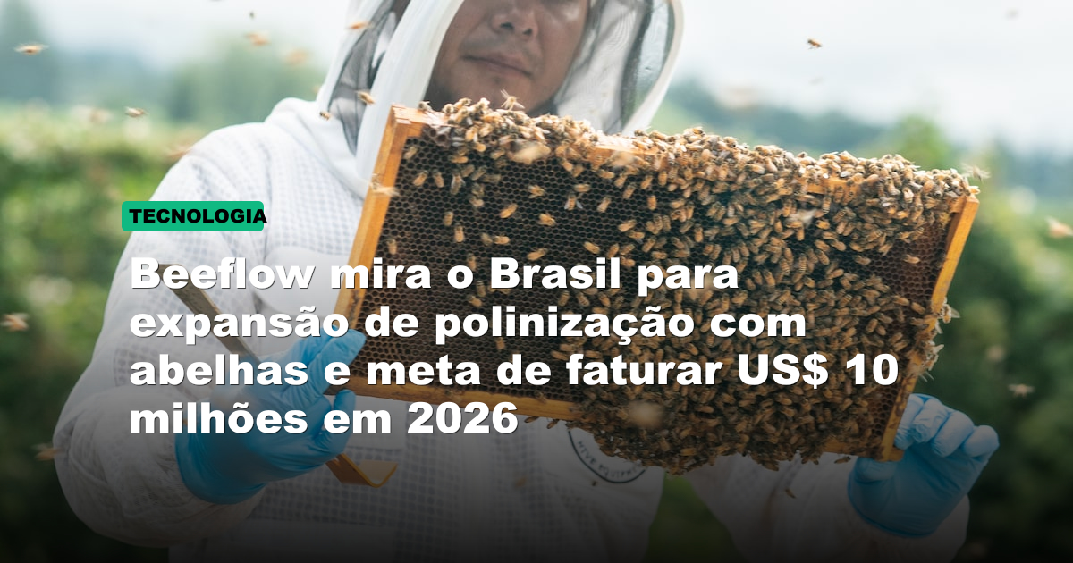Beeflow mira o Brasil para expansão de polinização com abelhas e meta de faturar US$ 10 milhões em 2026