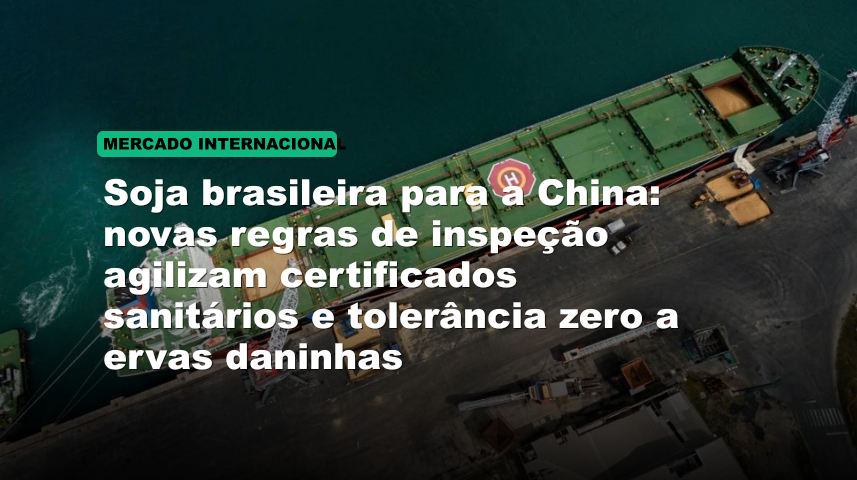 Soja brasileira para a China: novas regras de inspeção agilizam certificados sanitários e tolerância zero a ervas daninhas