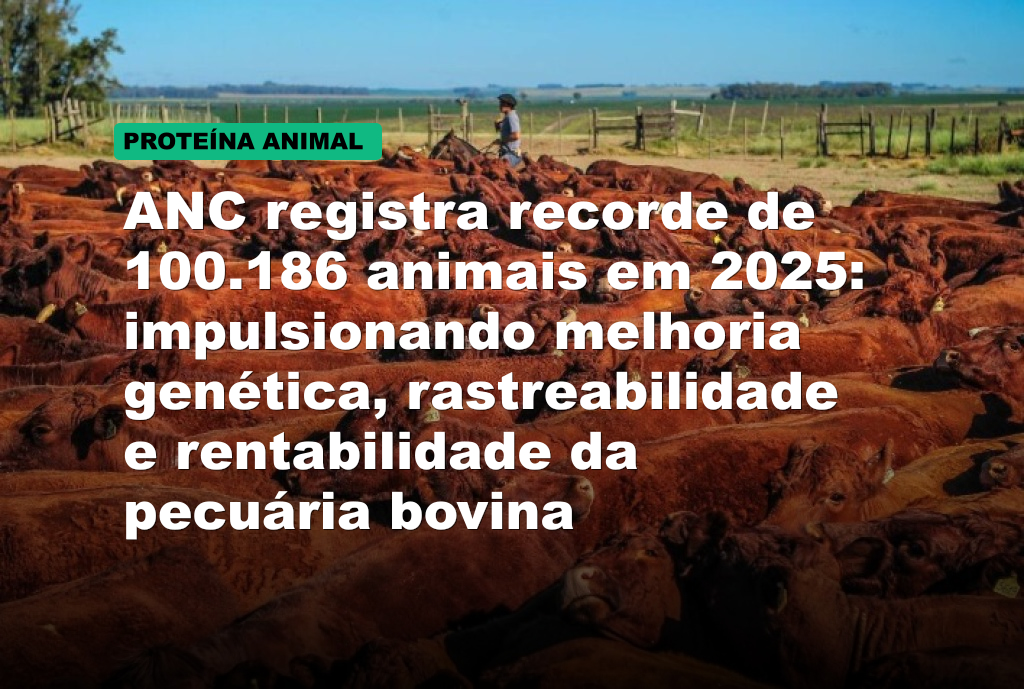 ANC registra recorde de 100.186 animais em 2025: impulsionando melhoria genética, rastreabilidade e rentabilidade da pecuária bovina