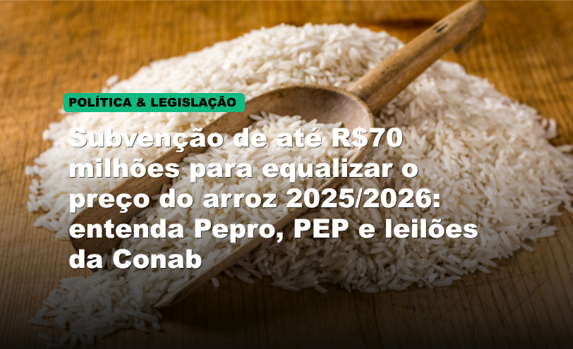 Subvenção de até R$70 milhões para equalizar o preço do arroz 2025/2026: entenda Pepro, PEP e leilões da Conab