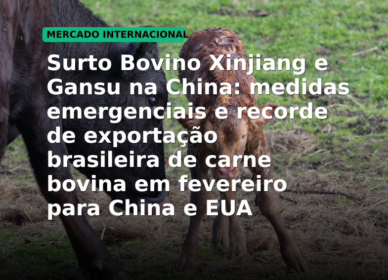 Surto Bovino Xinjiang e Gansu na China: medidas emergenciais e recorde de exportação brasileira de carne bovina em fevereiro para China e EUA