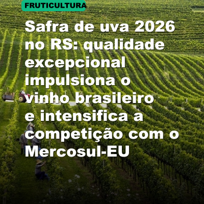 Safra de uva 2026 no RS: qualidade excepcional impulsiona o vinho brasileiro e intensifica a competição com o Mercosul-EU