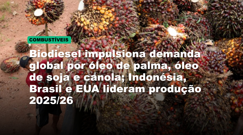 Biodiesel impulsiona demanda global por óleo de palma, óleo de soja e canola; Indonésia, Brasil e EUA lideram produção 2025/26