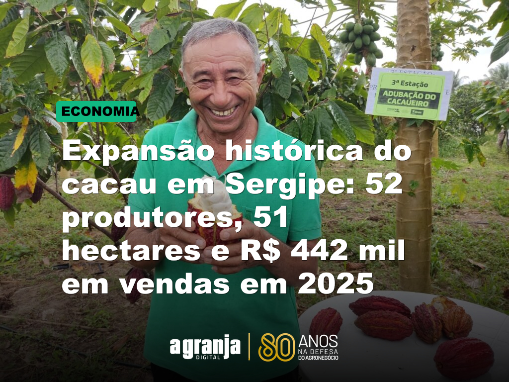 Expansão histórica do cacau em Sergipe: 52 produtores, 51 hectares e R$ 442 mil em vendas em 2025