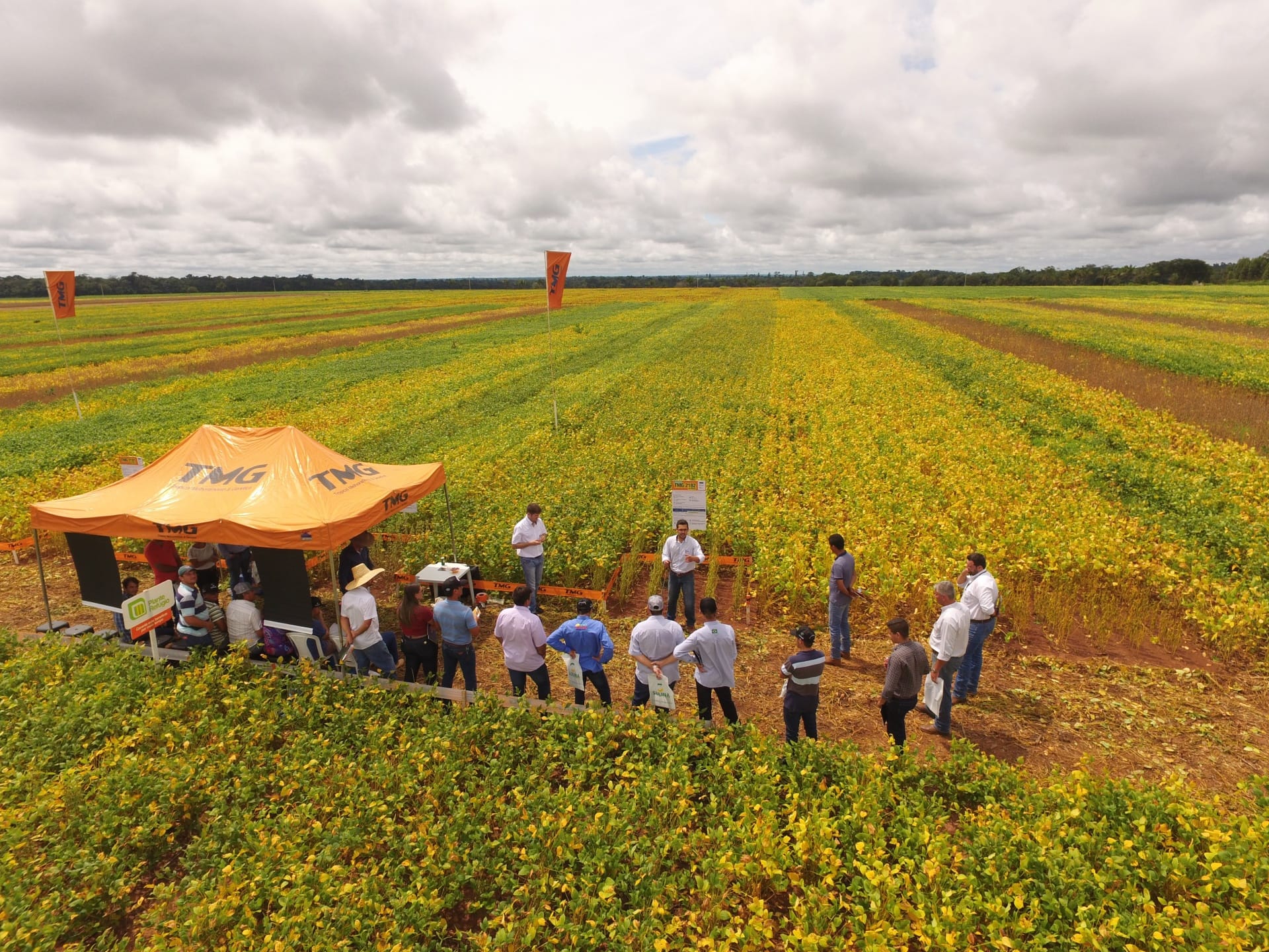 Prazo Final para Cadastro no Indea-MT se Aproxima: Multa de R$ 2,5 mil Ameaça Produtores de Soja Irregulares