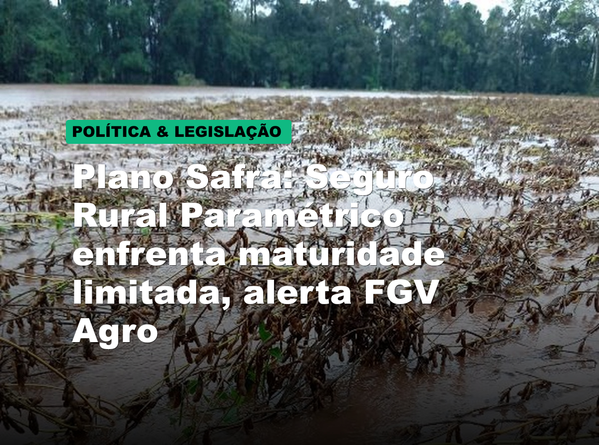 Plano Safra: Seguro Rural Paramétrico enfrenta maturidade limitada, alerta FGV Agro
