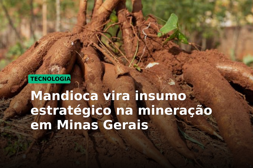 Mandioca vira insumo estratégico na mineração em Minas Gerais