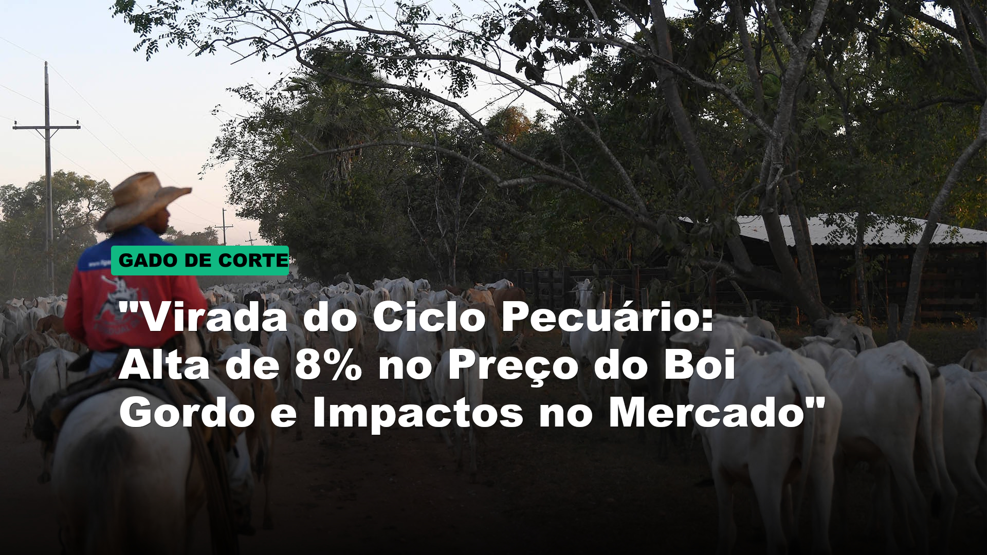 "Virada do Ciclo Pecuário: Alta de 8% no Preço do Boi Gordo e Impactos no Mercado"