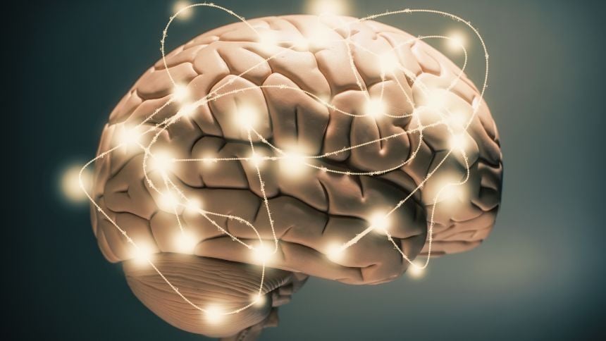 Hábitos para um Cérebro Saudável em 2026: Como Fortalecer sua Mente e Prevenir o Declínio Cognitivo