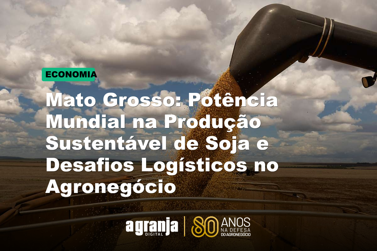 Mato Grosso: Potência Mundial na Produção Sustentável de Soja e Desafios Logísticos no Agronegócio
