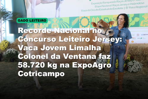 Recorde Nacional no Concurso Leiteiro Jersey: Vaca Jovem Limalha Colonel da Ventana faz 58.720 kg na ExpoAgro Cotricampo