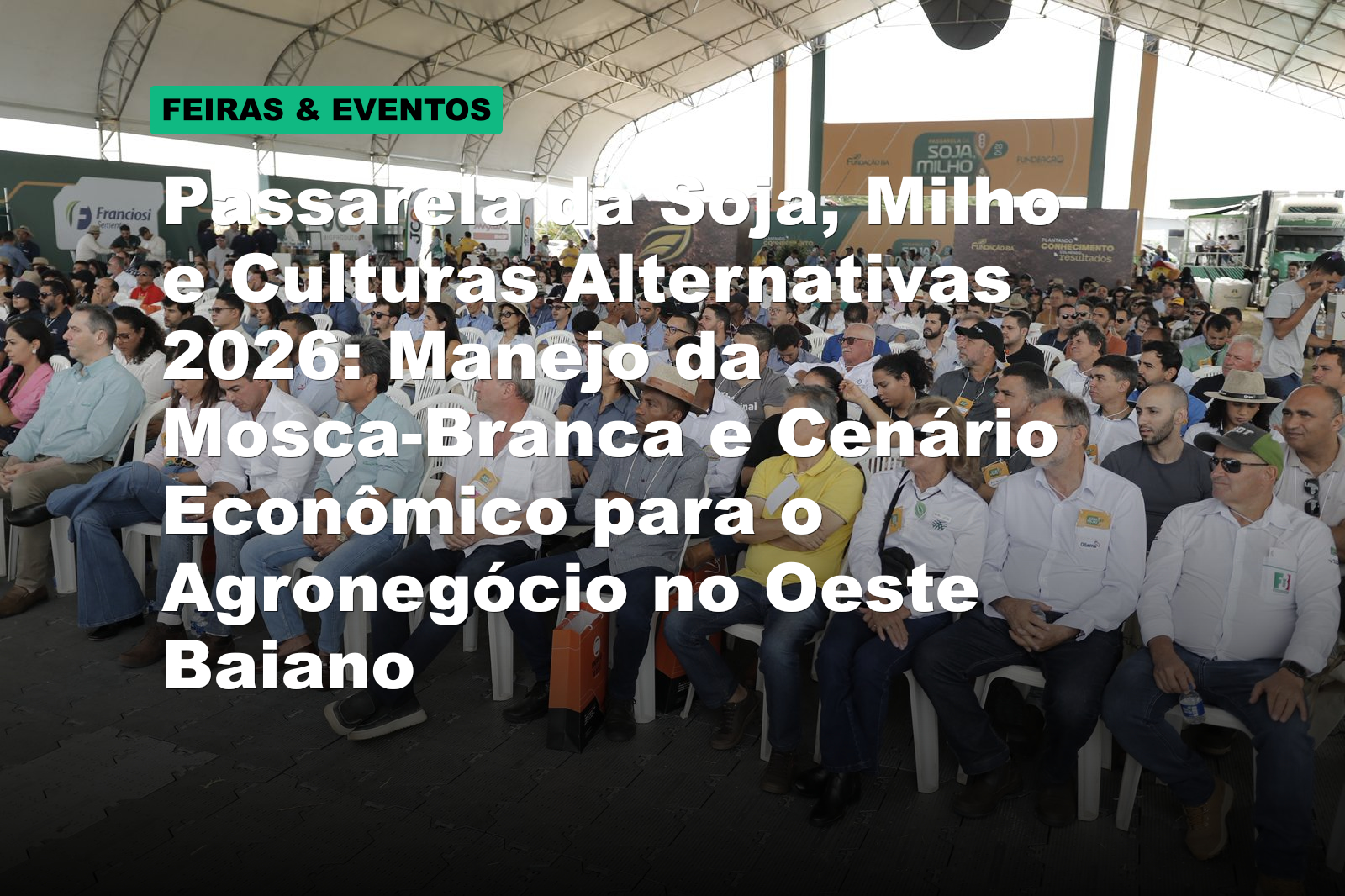 Passarela da Soja, Milho e Culturas Alternativas 2026: Manejo da Mosca-Branca e Cenário Econômico para o Agronegócio no Oeste Baiano
