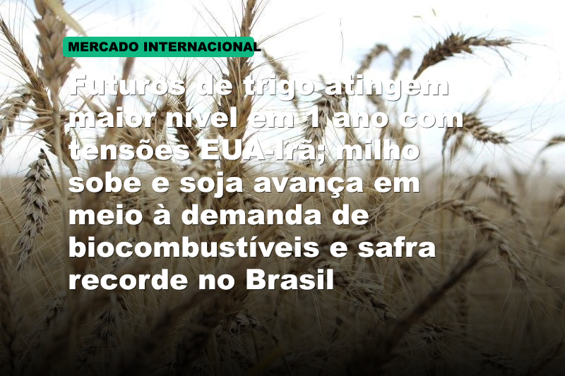 Futuros de trigo atingem maior nível em 1 ano com tensões EUA-Irã; milho sobe e soja avança em meio à demanda de biocombustíveis e safra recorde no Brasil