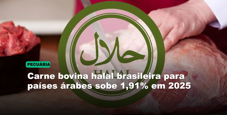 Carne bovina halal brasileira para países árabes sobe 1,91% em 2025