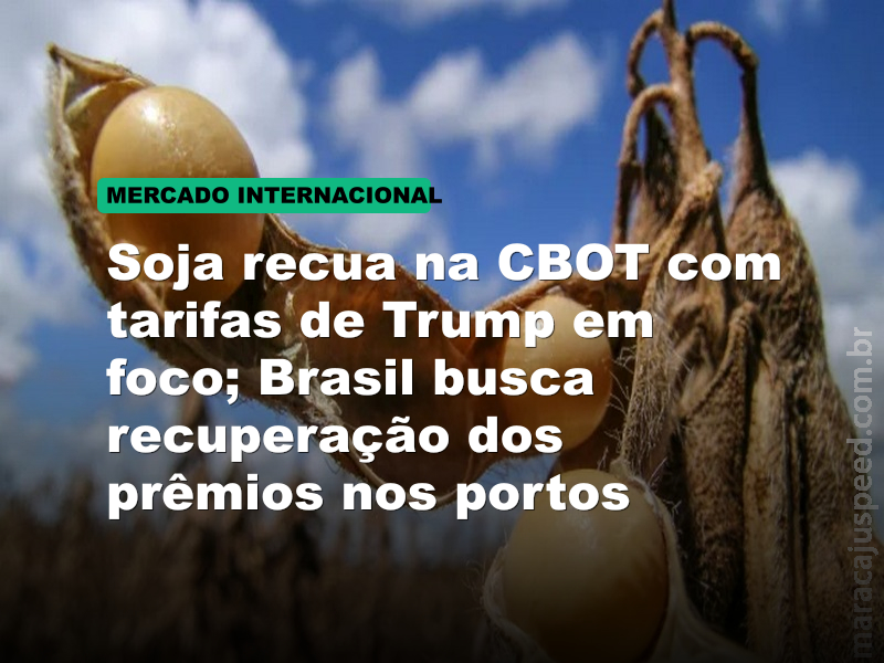 Soja recua na CBOT com tarifas de Trump em foco; Brasil busca recuperação dos prêmios nos portos