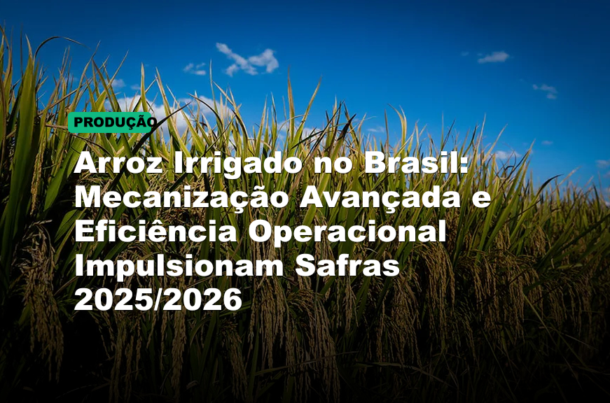 Arroz Irrigado no Brasil: Mecanização Avançada e Eficiência Operacional Impulsionam Safras 2025/2026