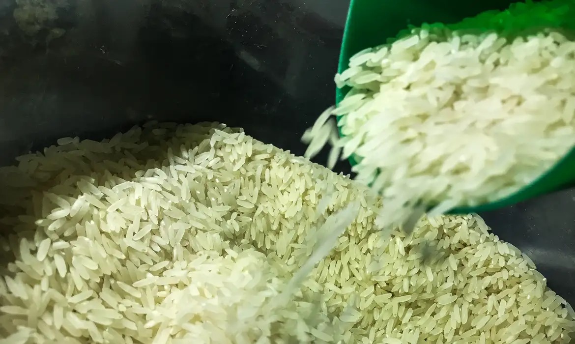 Liquidez do Arroz em Alta no RS: Demanda Doméstica Impulsiona Mercado em Véspera de Nova Safra