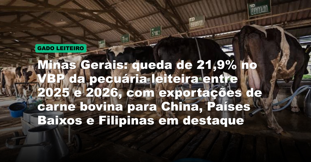Minas Gerais: queda de 21,9% no VBP da pecuária leiteira entre 2025 e 2026, com exportações de carne bovina para China, Países Baixos e Filipinas em destaque