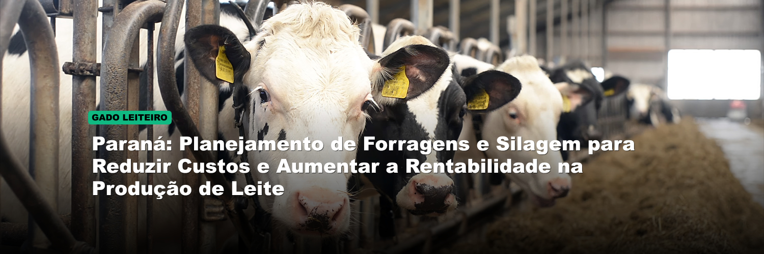 Paraná: Planejamento de Forragens e Silagem para Reduzir Custos e Aumentar a Rentabilidade na Produção de Leite