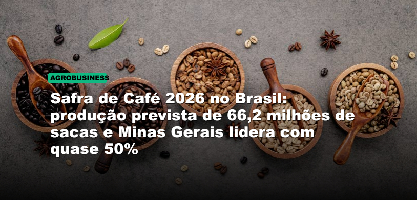 Safra de Café 2026 no Brasil: produção prevista de 66,2 milhões de sacas e Minas Gerais lidera com quase 50%