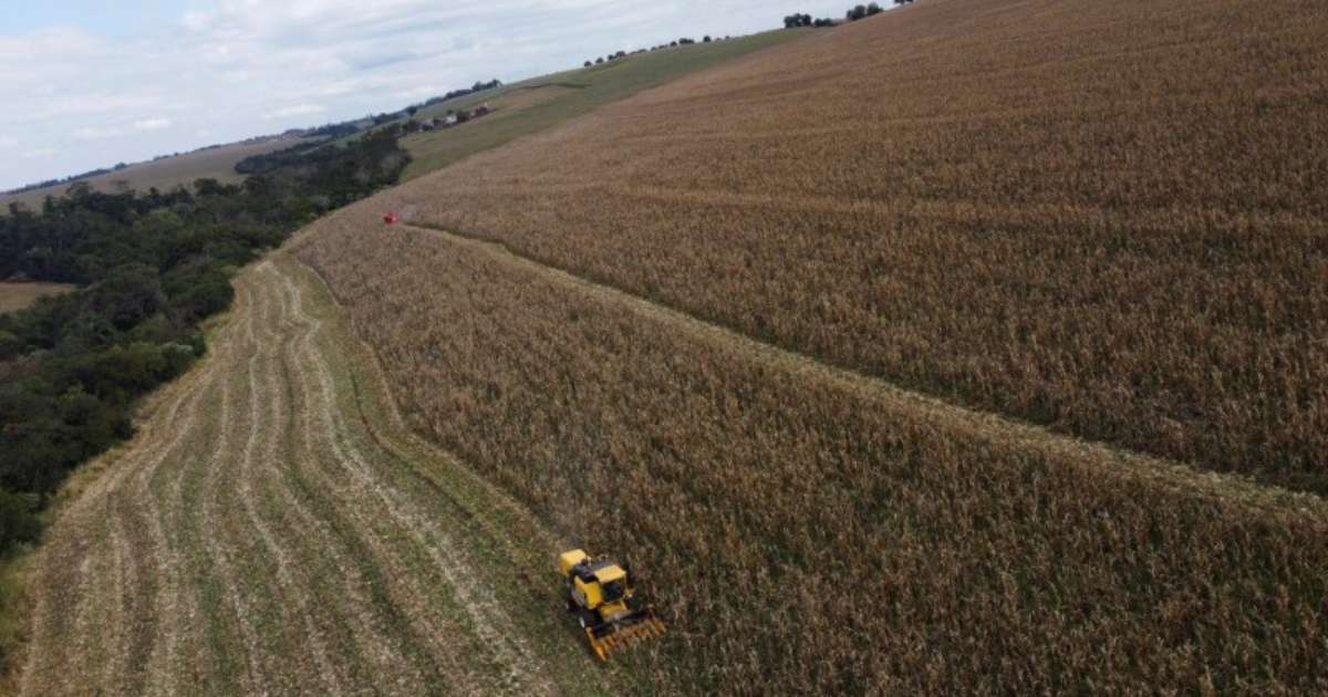 Produção de Soja e Milho 2025/26 no Brasil Alcança Novos Recordes, Aponta AgRural