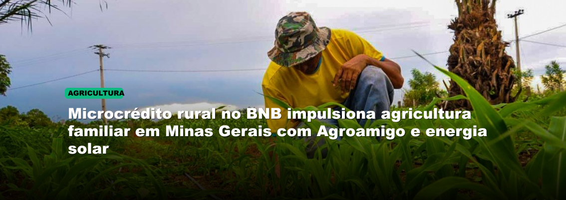 Microcrédito rural no BNB impulsiona agricultura familiar em Minas Gerais com Agroamigo e energia solar