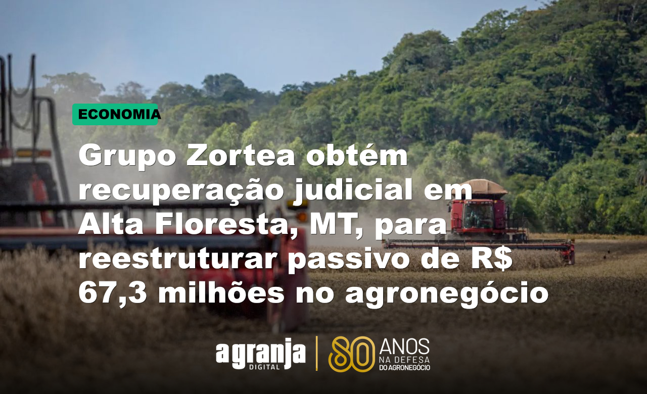 Grupo Zortea obtém recuperação judicial em Alta Floresta, MT, para reestruturar passivo de R$ 67,3 milhões no agronegócio