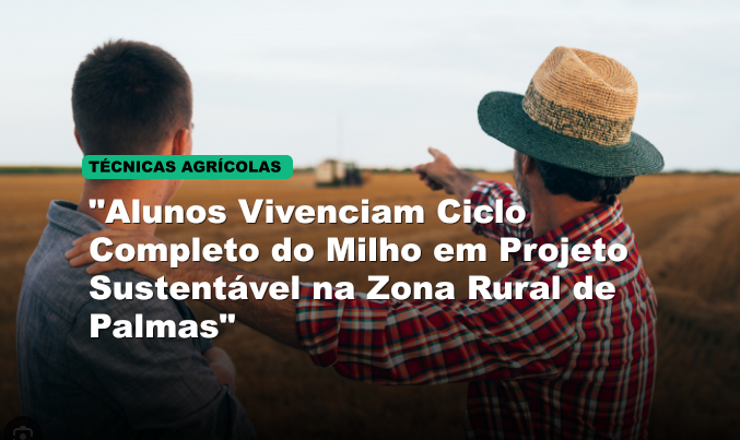 "Alunos Vivenciam Ciclo Completo do Milho em Projeto Sustentável na Zona Rural de Palmas"