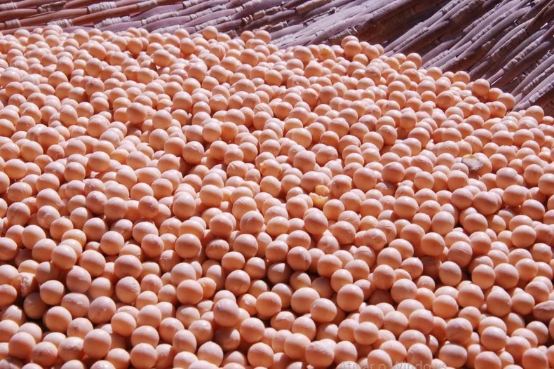 Produção de grãos deve crescer 75 milhões de toneladas até 2033 e acelera a digitalização das operações agrícolas