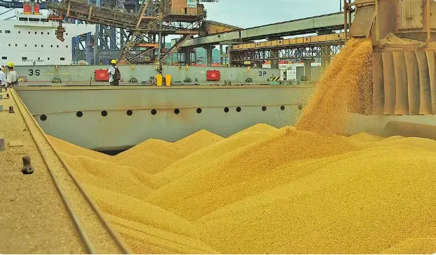 Importações de soja dos EUA pela China crescem 164% em julho