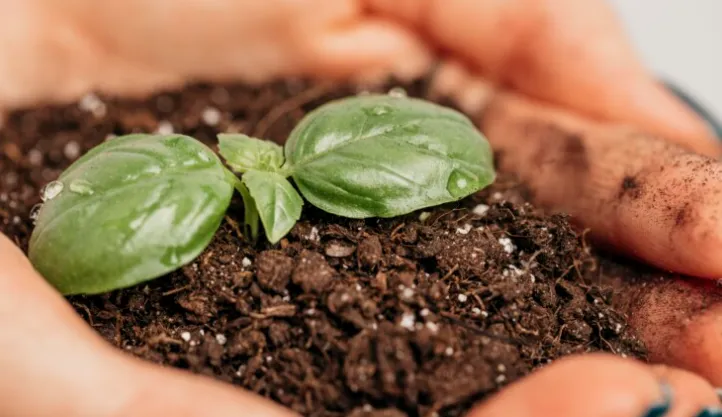 Profert entra em vigor e fixa mistura mínima de fertilizante nacional a partir de 2027